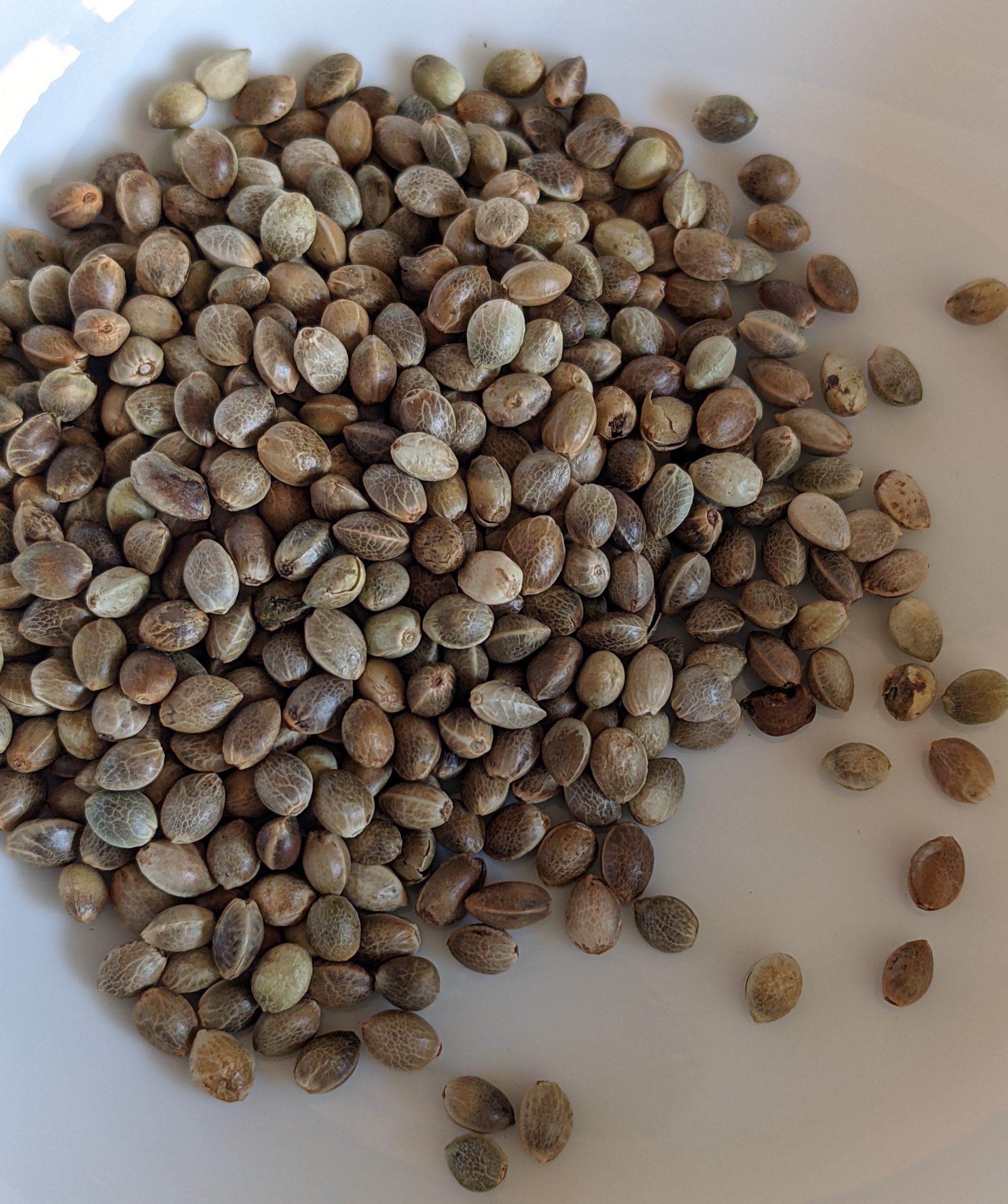 hemp-seeds-nutrition-benefits