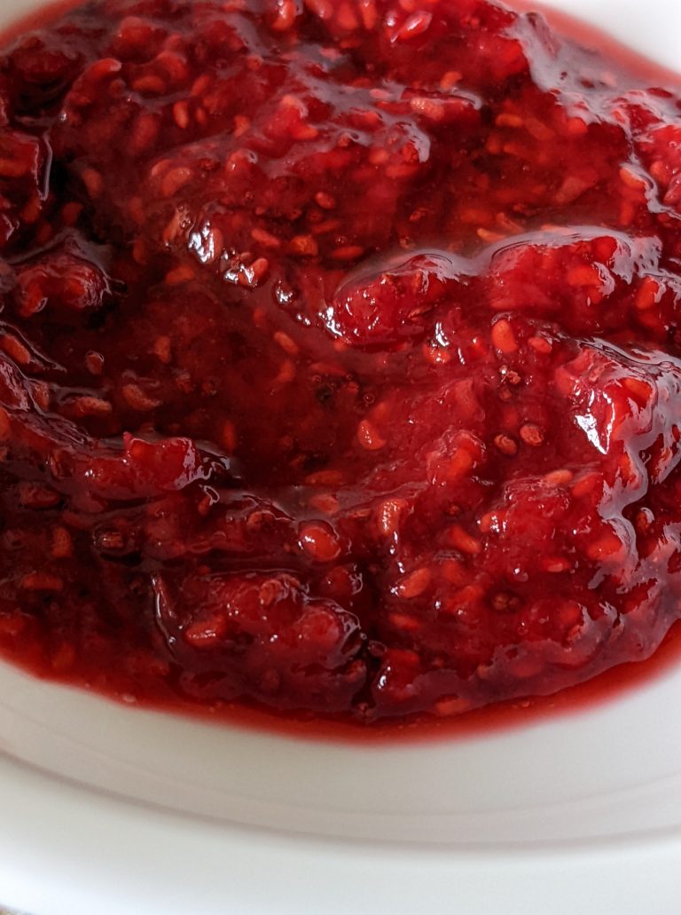 Easy to make Homemade Raspberry Chia Seed Jam Recipe – Vegetarian Vegan Recipes