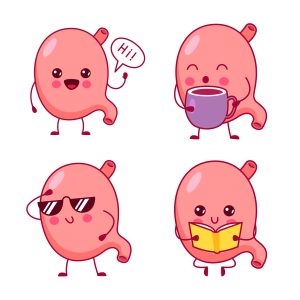 happy-stomach-tea-for-digestion