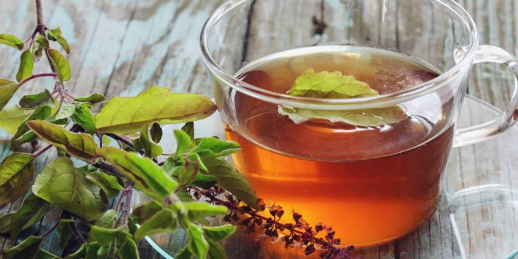 The Amazing Benefits of Tulsi Tea: Why You Should Make It a Daily Ritual